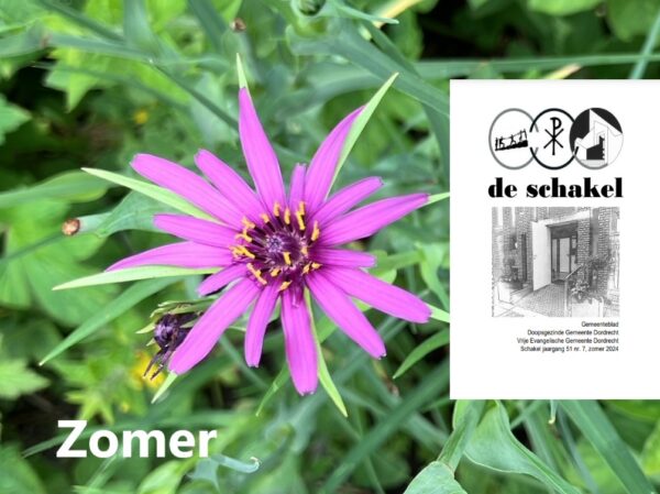 Het zomernummer van De Schakel is uit!