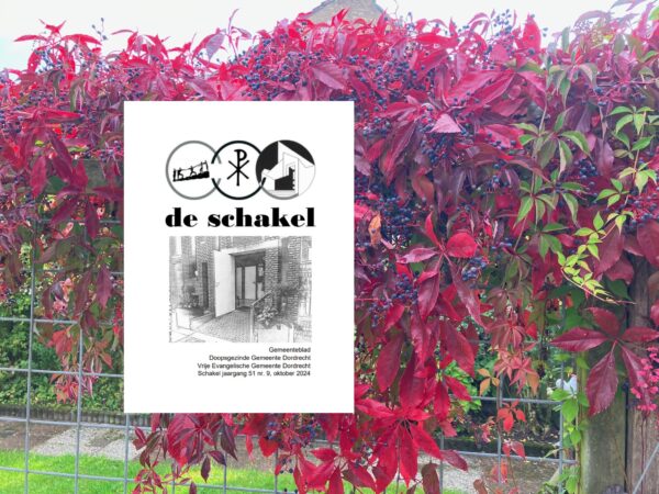 Het oktobernummer van De Schakel is uit!